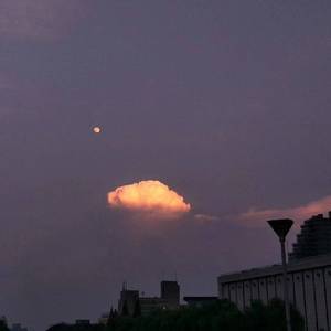 国产视频一区在线播放
